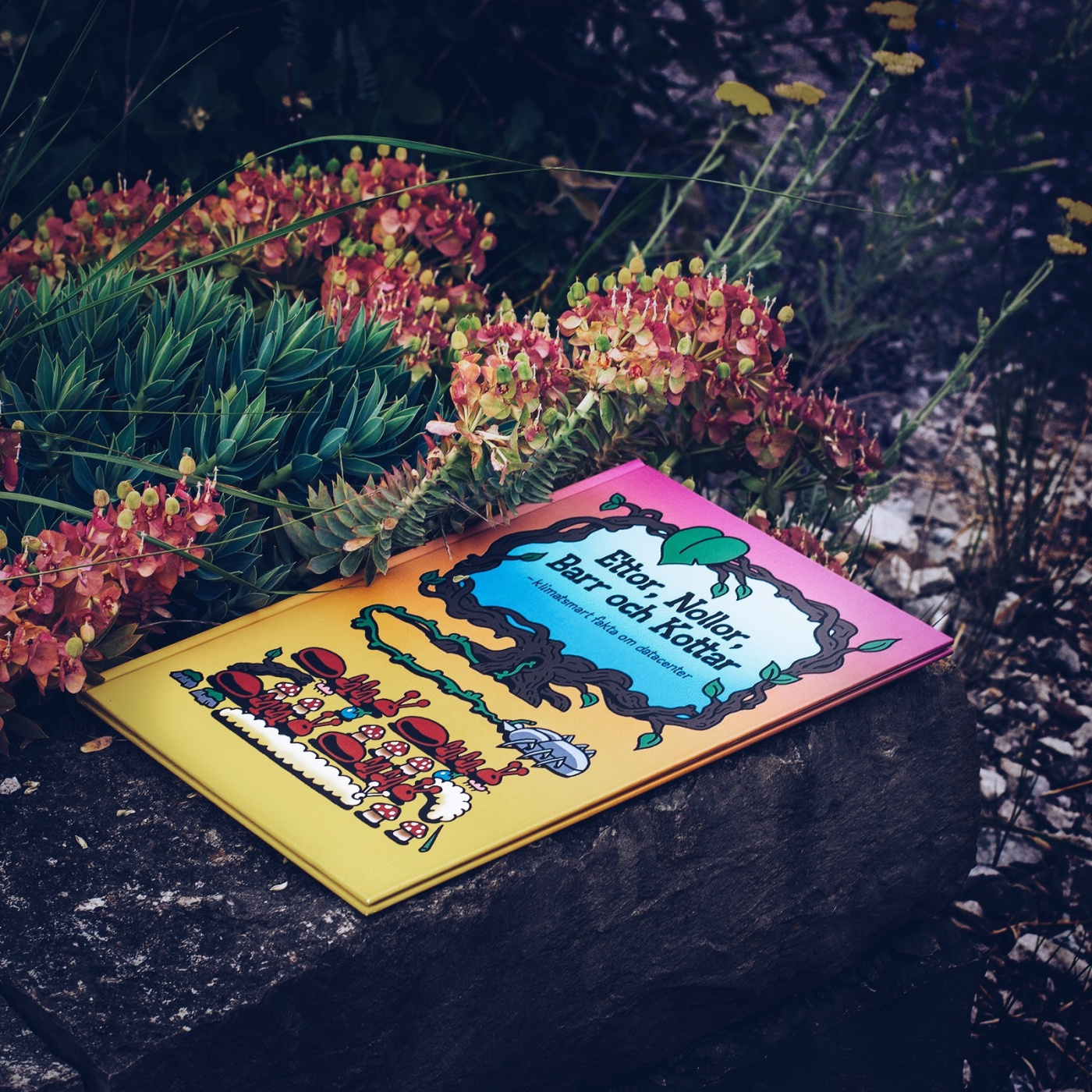 Ettor, Nollor, Barr & Kottar (Slutsåld)